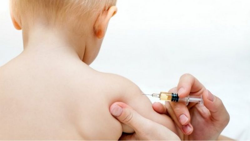  A importância do controle vacinal