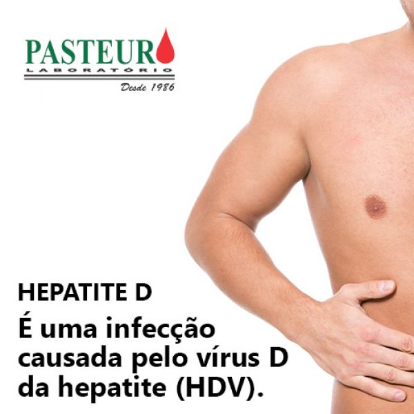  Hepatite D
