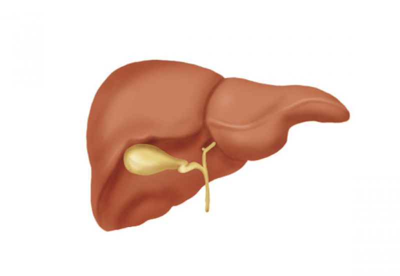 Entenda tudo sobre a esteatose hepática