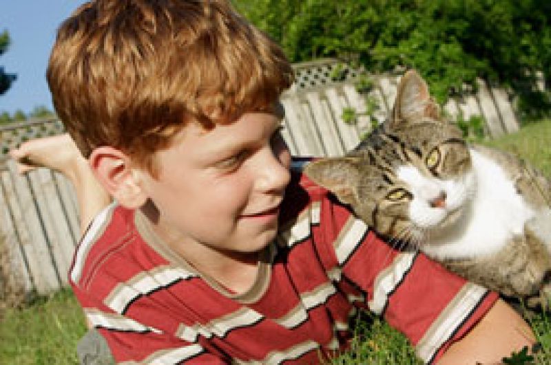 Alergia a animais