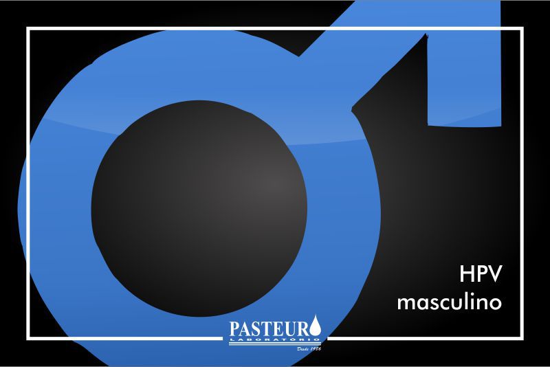  HPV: a importância da imunização masculina