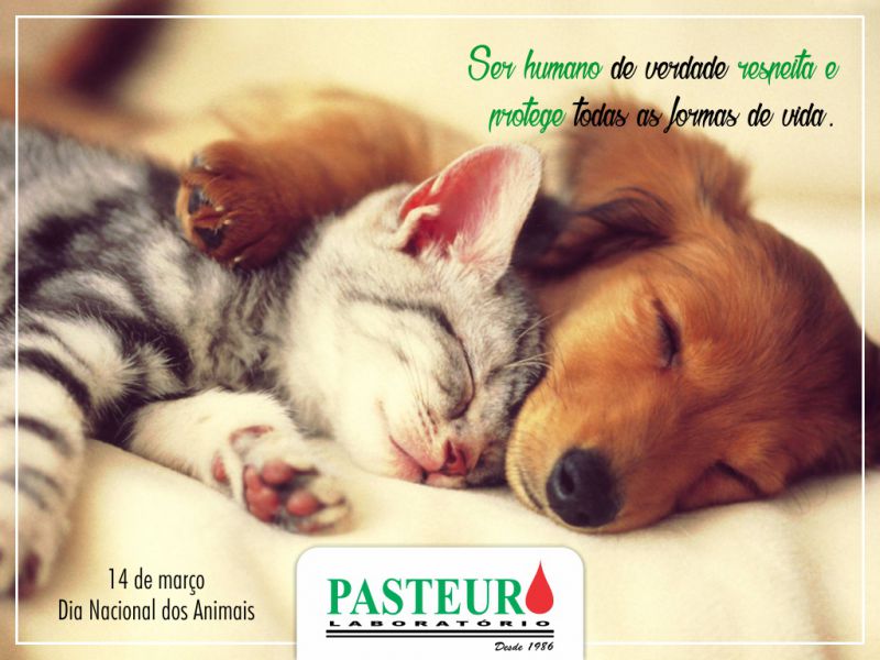 Dia Nacional dos Animais