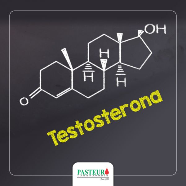  Testosterona
