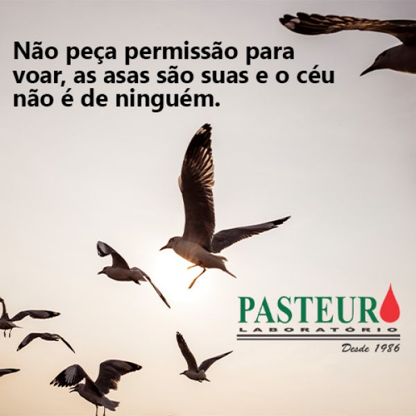 Não peça permissão para voar, as asas são suas e o céu não é de ninguém.