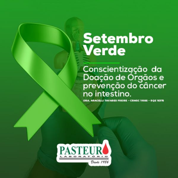  Setembro verde